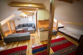 Гостевой дом Guesthouse Sandra Колашин Апартаменты-студио-9